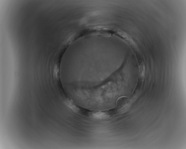 X0000115450669200911121155