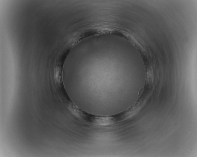 X0000115450671200911121155