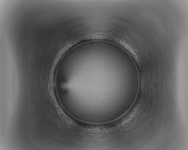 X0000115450673200911121154
