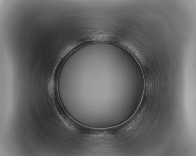 X0000115450674200911121154