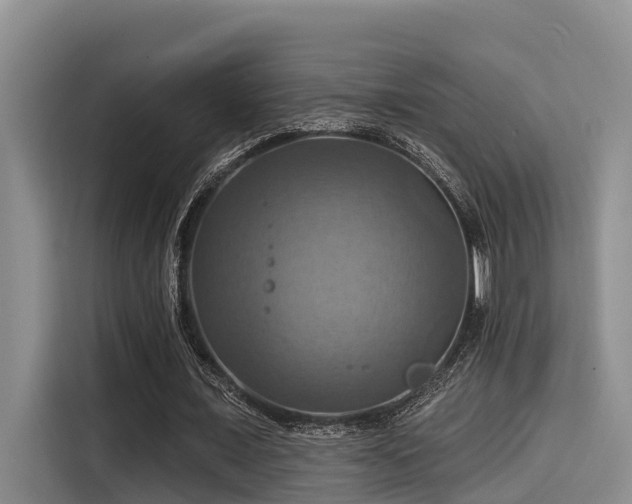 X0000115450675200911121154