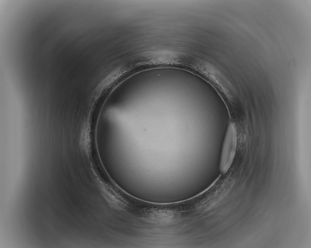 X0000115450677200911121154