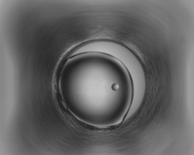 X0000115450680200911121154