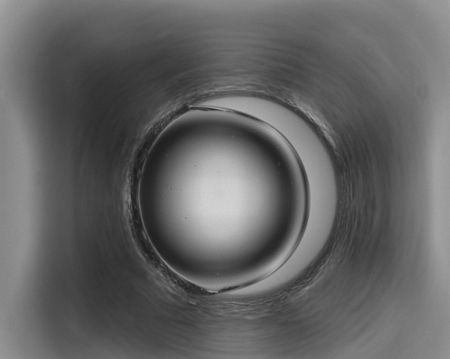 X0000115450681200911121154