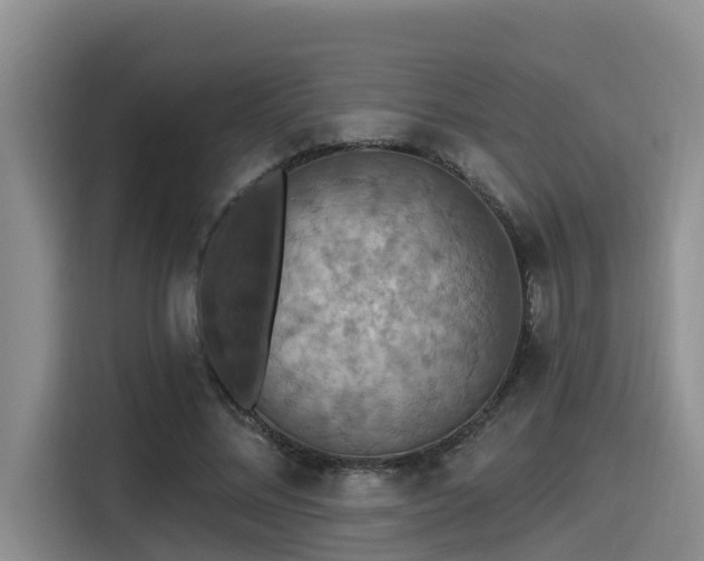 X0000115450684200911121154