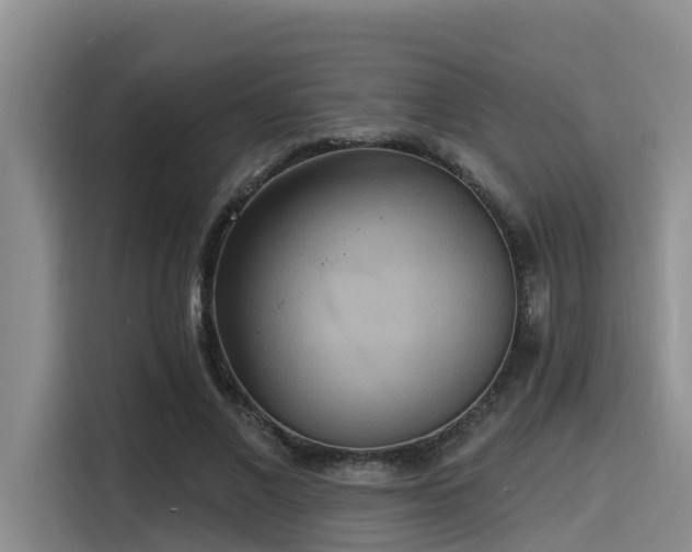X0000115450685200911121154