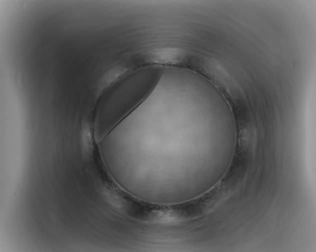 X0000115450688200911121154