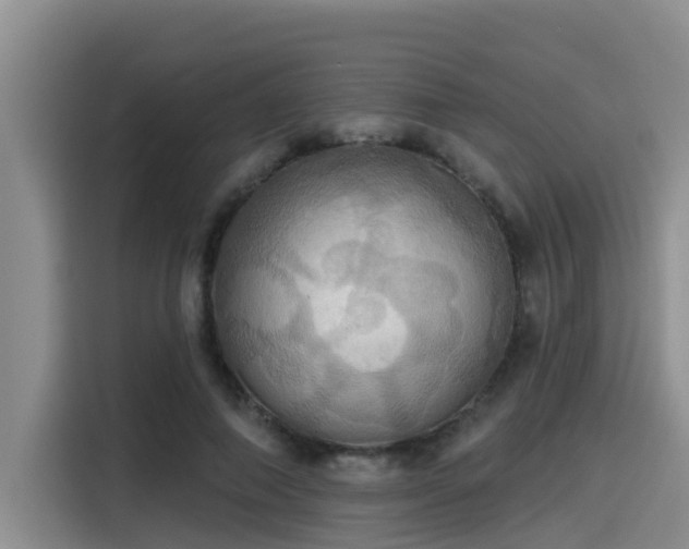 X0000115450690200911121154