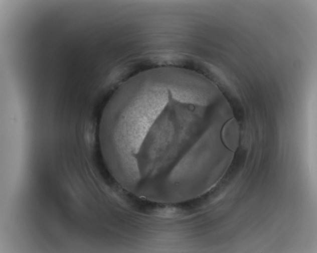 X0000115450695200911121154