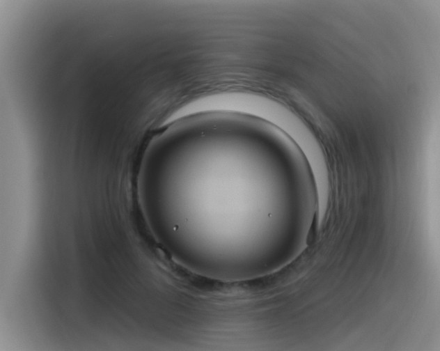 X0000115450696200911121154