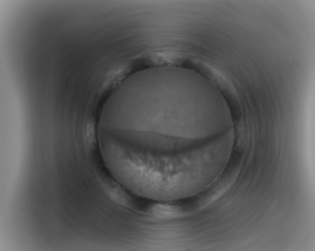 X0000115450699200911121154