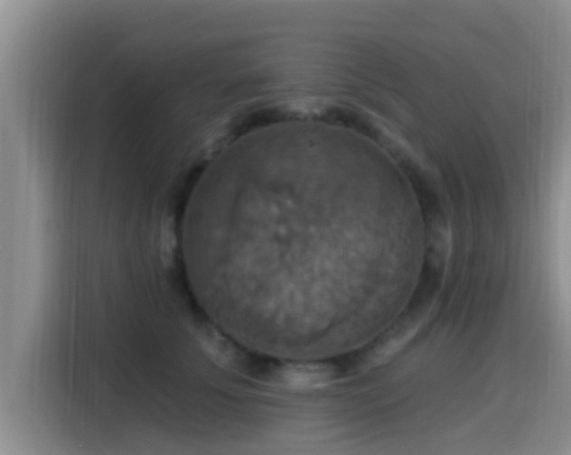 X0000115450707200911121154