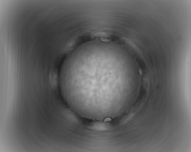 X0000115450708200911121154