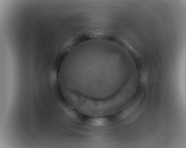 X0000115450711200911121154