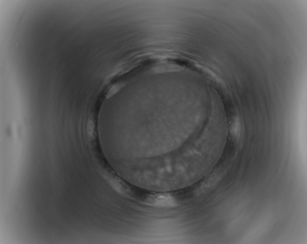X0000115450715200911121154