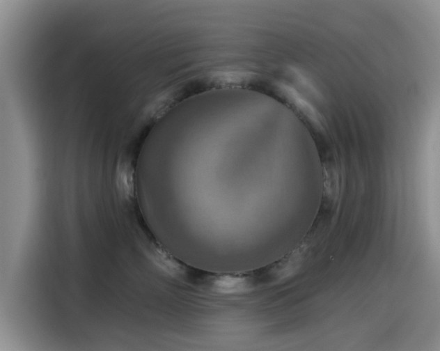 X0000115450718200911121154