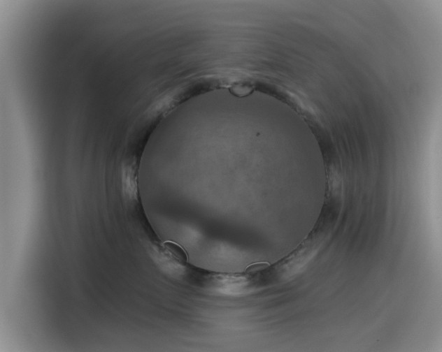 X0000115450719200911121154