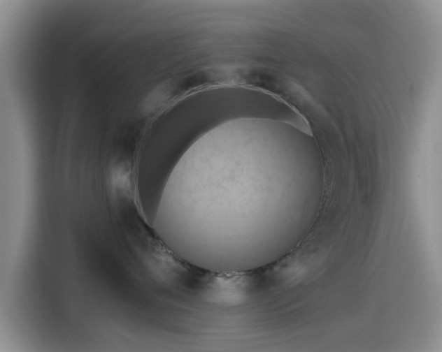X0000115450720200911121154