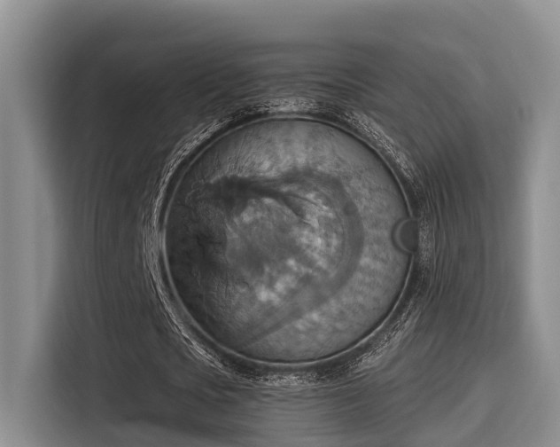X0000115450721200911121153