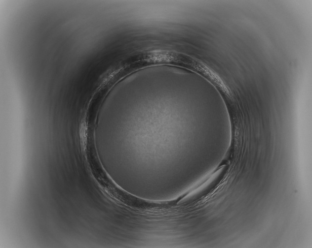 X0000115450722200911121153
