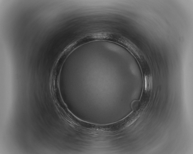 X0000115450723200911121153