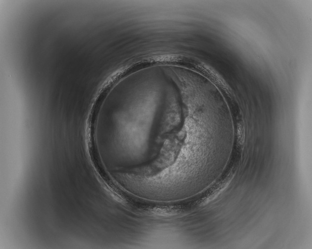X0000115450725200911121153