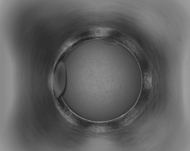X0000115450726200911121153
