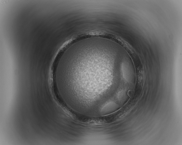 X0000115450727200911121153