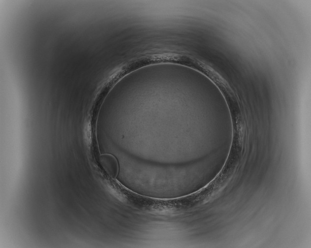X0000115450729200911121153