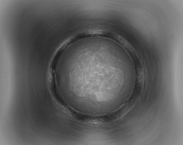 X0000115450731200911121153
