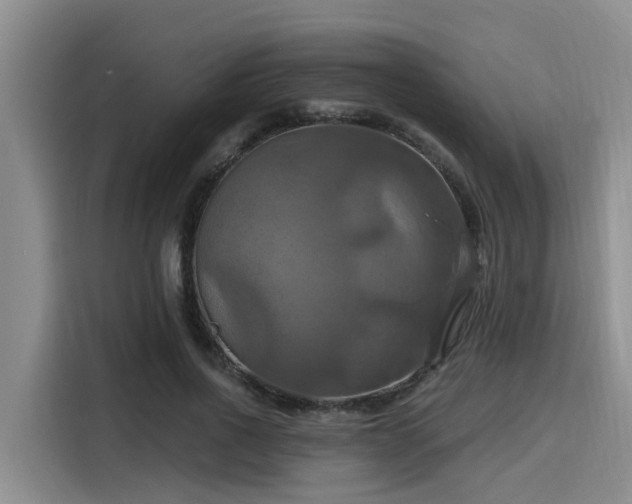 X0000115450734200911121153
