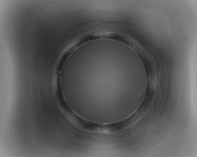 X0000115450735200911121153