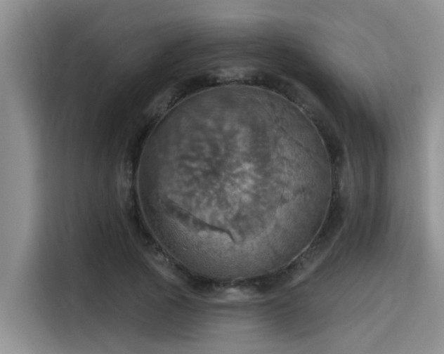 X0000115450737200911121153