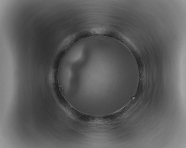 X0000115450738200911121153