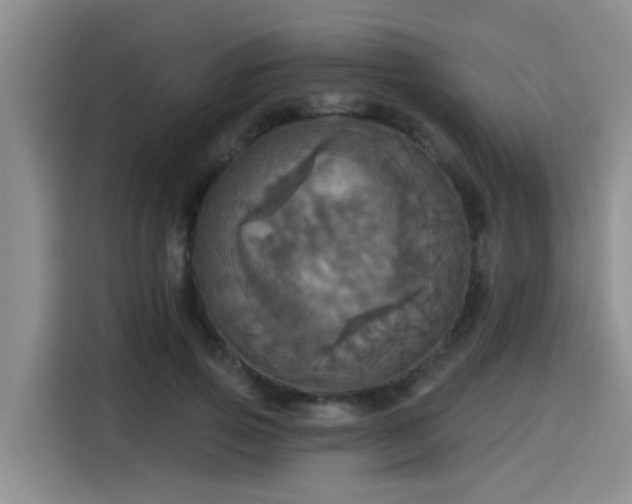 X0000115450741200911121153