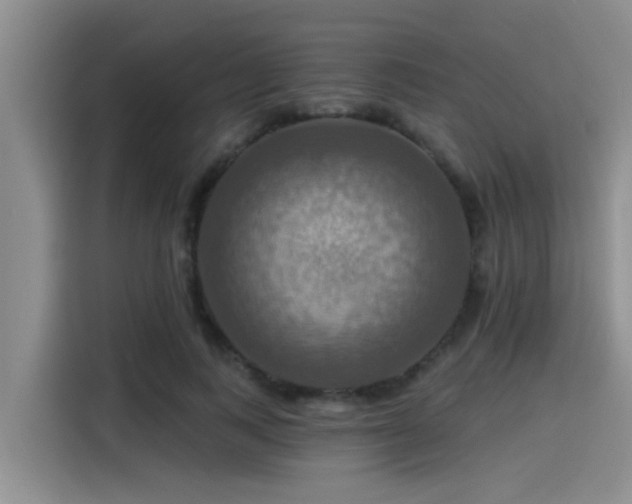 X0000115450743200911121153