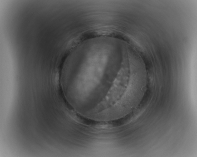 X0000115450745200911121153