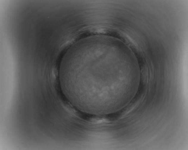 X0000115450747200911121153