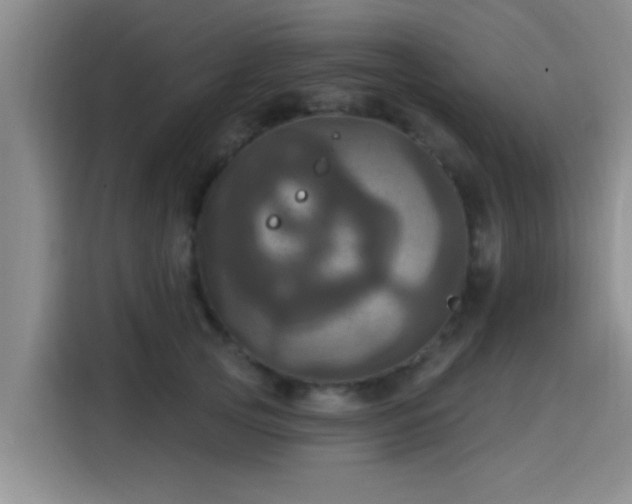 X0000115450753200911121153