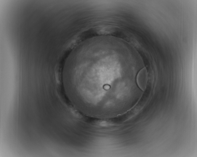 X0000115450755200911121153