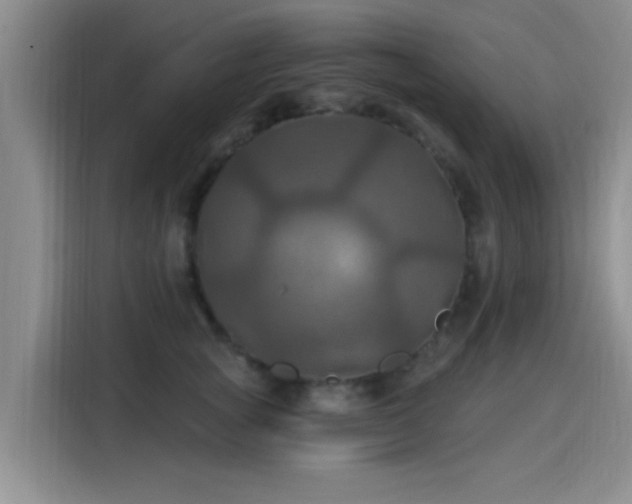 X0000115450757200911121153