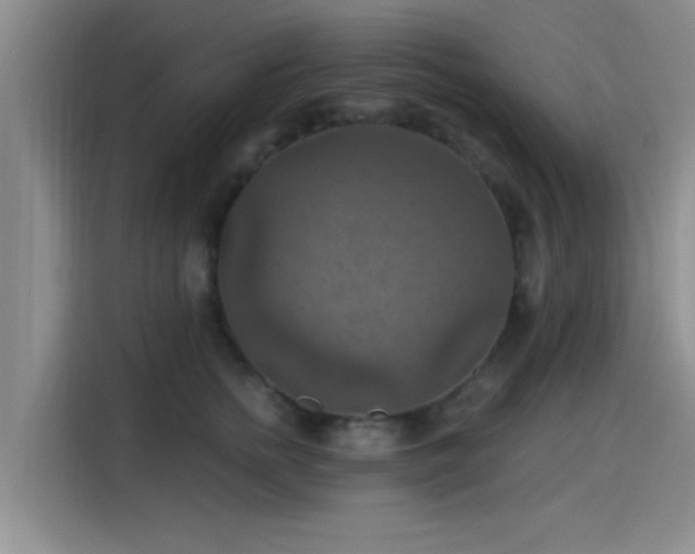X0000115450758200911121153