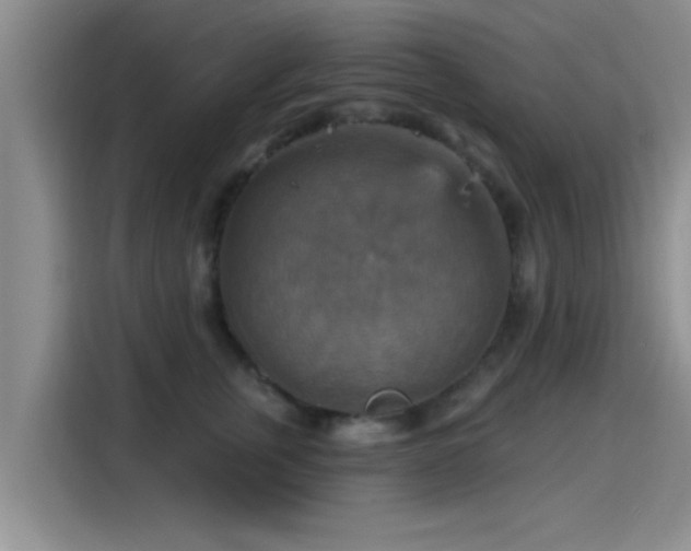 X0000115450759200911121153