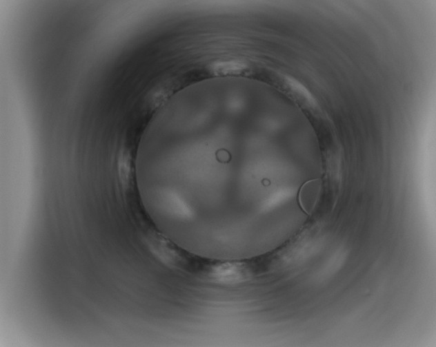 X0000115450761200911121153