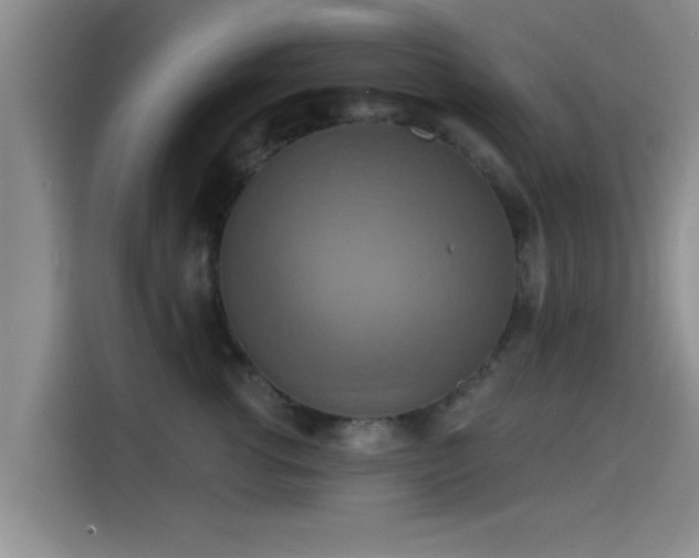 X0000115450762200911121153