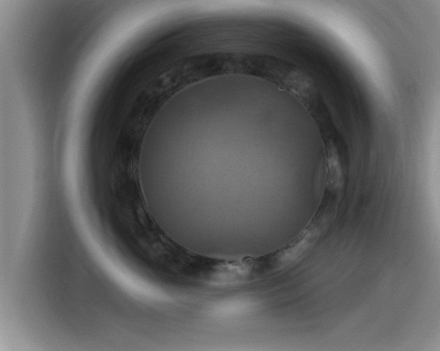 X0000115450765200911121153