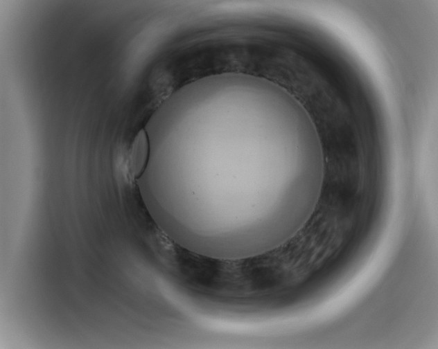 X0000115450766200911121153