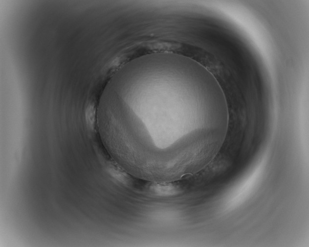X0000115450767200911121154