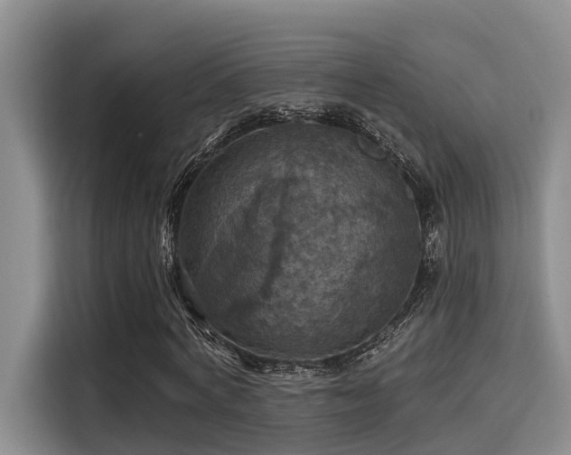 X0000115450772200911121153