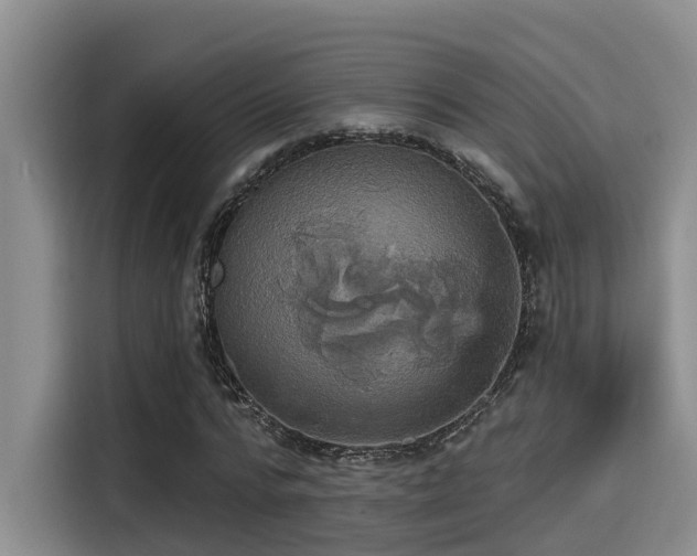 X0000115450776200911121153